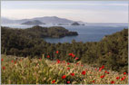 Fethiye-Gocek-Korfezi