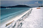 Salda-Golu
